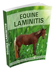 Equine Laminitis ebook